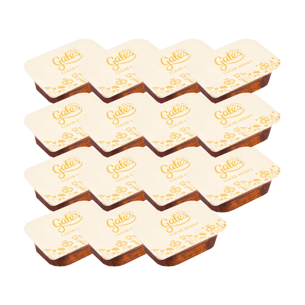Gales Original Clear Honey 20g (15 Packs)